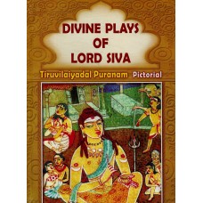 Divine Plays of Lord Shiva 