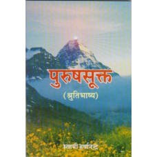 Purusha-Sukta (Hindi) Paperback – 2015